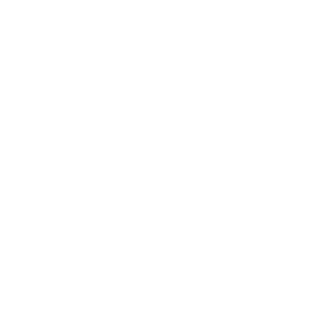 Logo Southern Copper Corporation