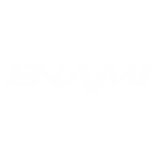 Logo ENAMI